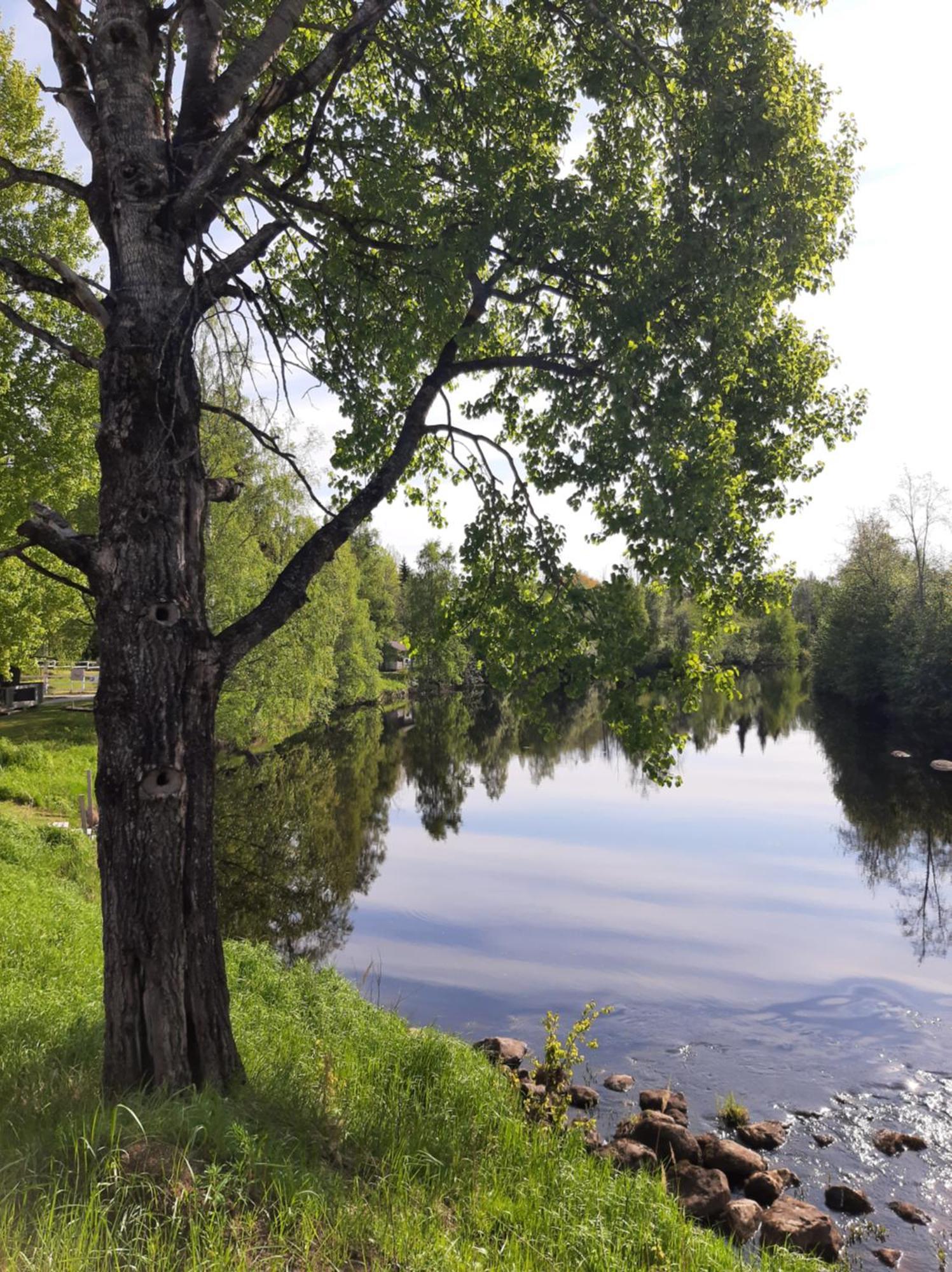 Huhtaniemen Moekkikylae *